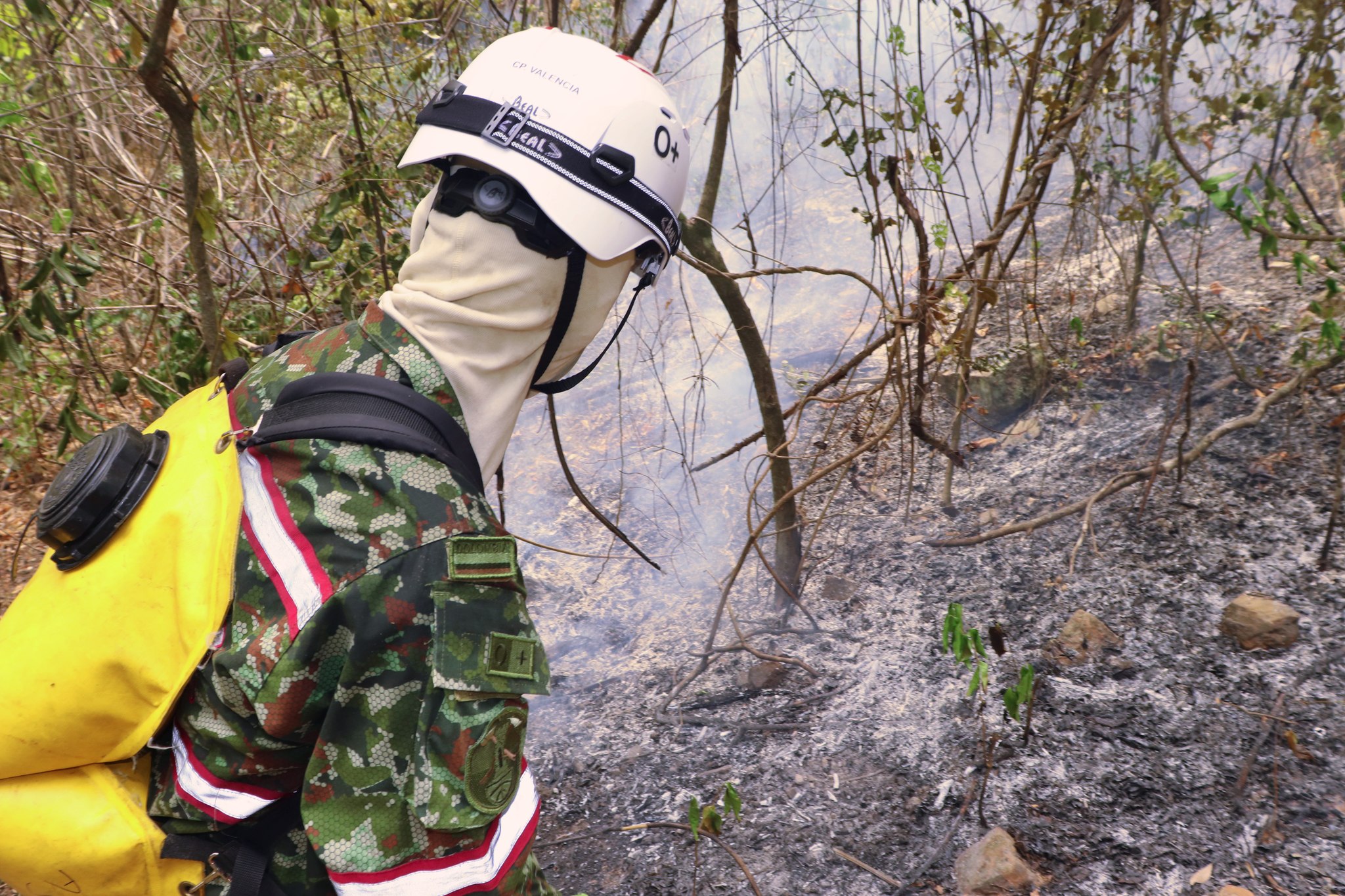 Incendios en Aipe han consumido 1.100 hectáreas de pastos y bosque seco tropical