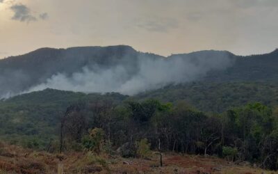 Más horas de vuelo para hacerle frente a la emergencia por incendios en Aipe