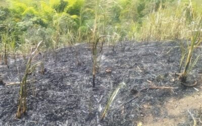 En San Agustín un hombre murió atrapado por un incendio que él mismo provocó