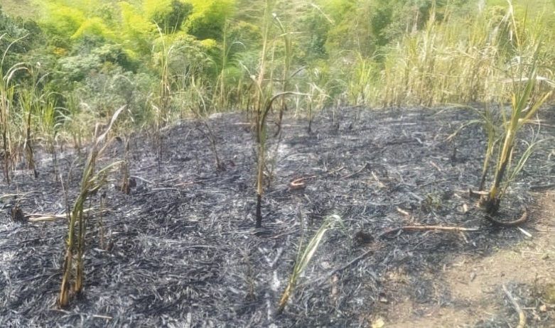 En San Agustín un hombre murió atrapado por un incendio que él mismo provocó