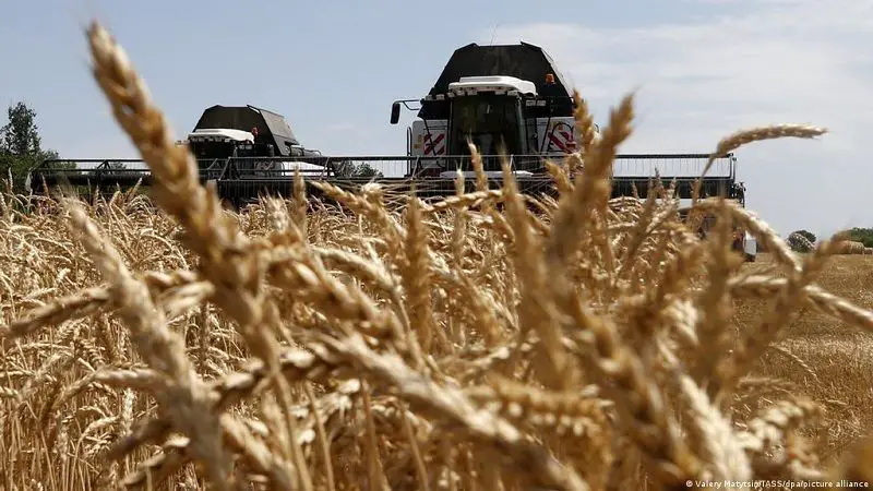 La invasión a Ucrania podría generar una gran crisis alimentaria