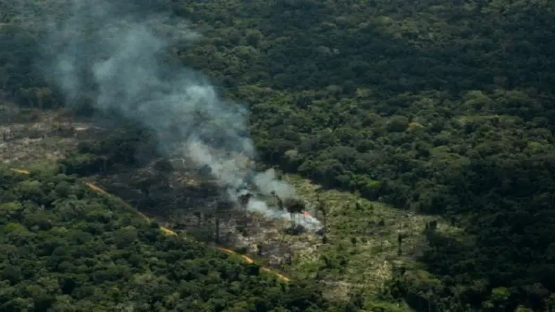 “En Amazonas se concentra el 70% de la deforestación del país”