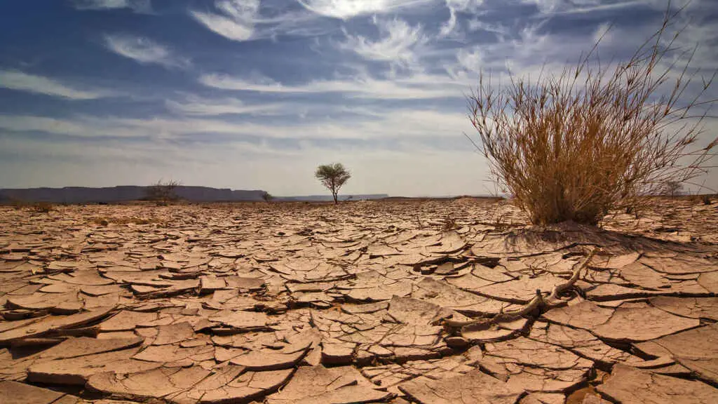 Efectos del cambio climático «durarán milenios»: IPCC