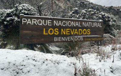 Nevada en el Parque Nacional Natural Los Nevados