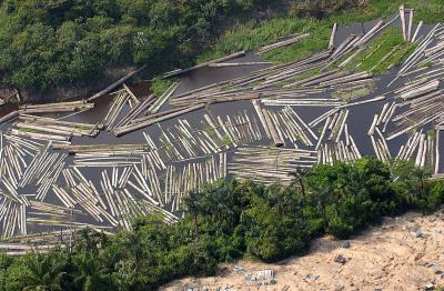 Nuevo record de deforestación de la Amazonía
