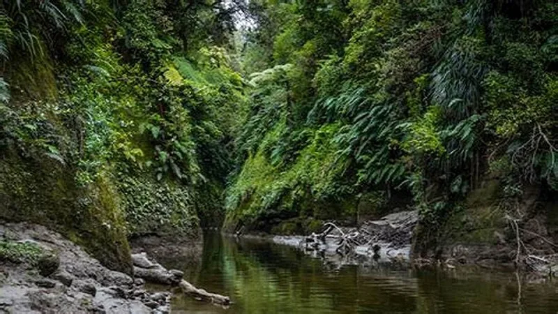 La conservación de los parques naturales como iniciativa para proteger la biodiversidad