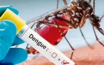 Por desaseo e indisciplina aumenta el dengue