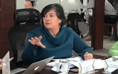 Renunció gerente del ICA, María del Pilar Ruiz