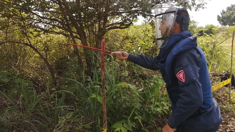 Así va el proceso de desminado en el Huila