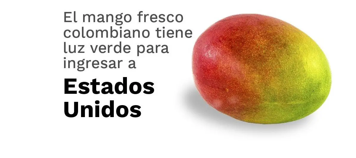 Estados Unidos autoriza la entrada del mango colombiano