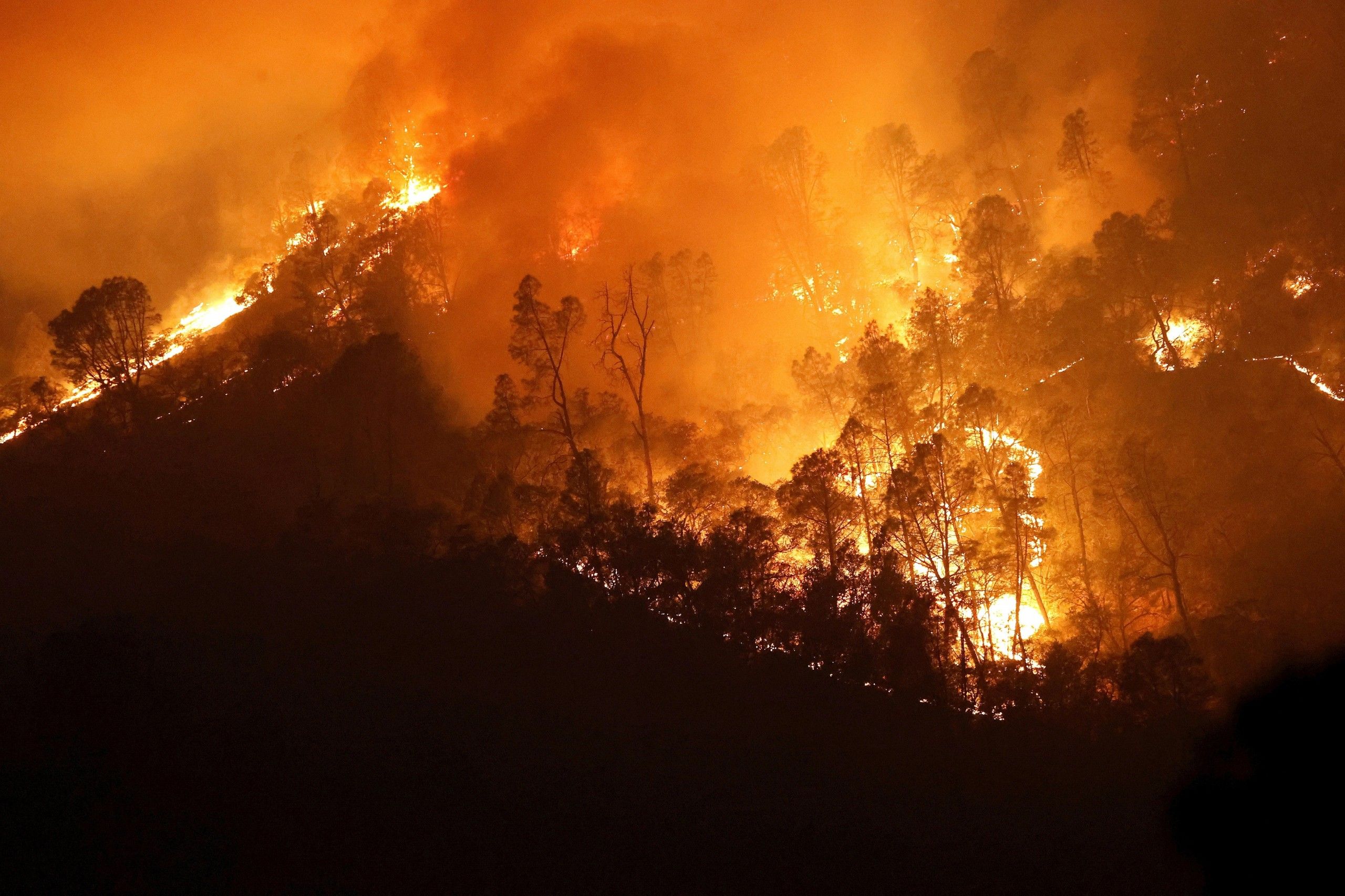 Los incendios en la UE arrasaron 340.000 hectáreas en 2020