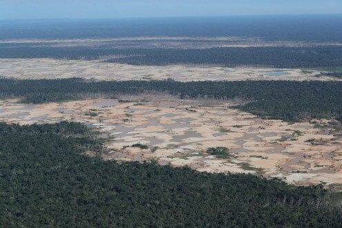 La Amazonía de Perú sufrió en 2020 la más alta deforestación en dos décadas