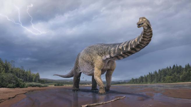 Dinosaurios vivieron en un clima con lluvias monzónicas