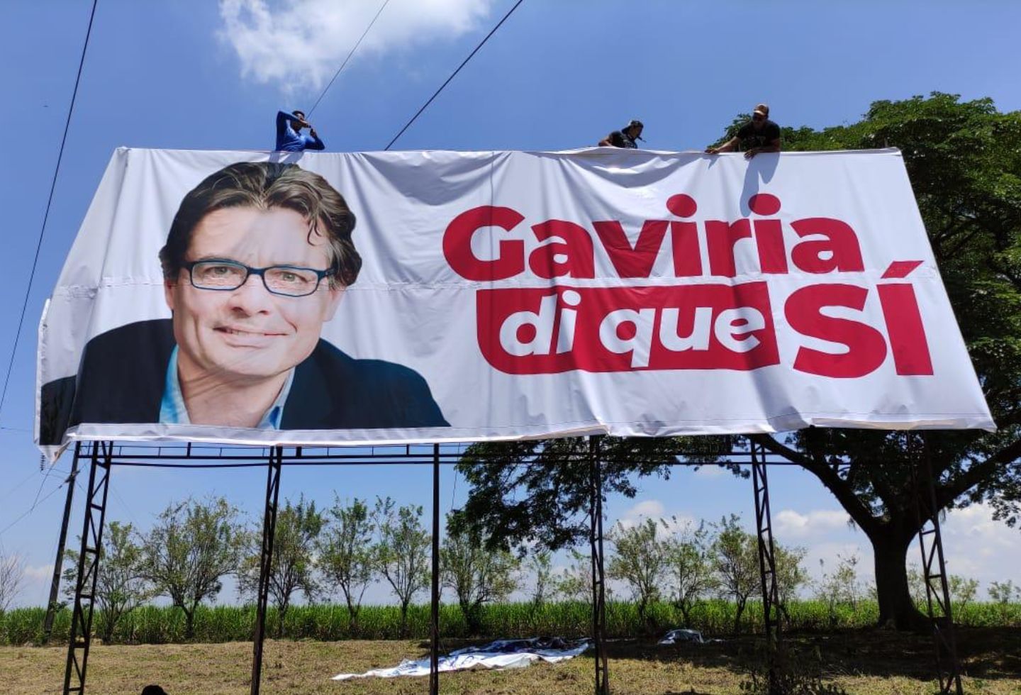 Los Galán y Lara quieren a Alejandro Gaviria en Nuevo Liberalismo