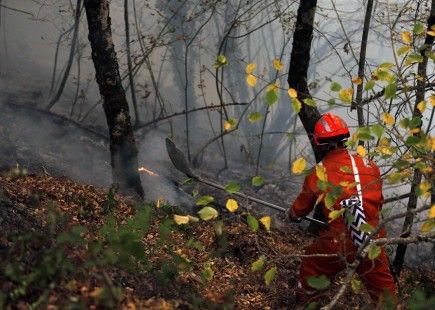 La lluvia extingue todos los incendios forestales en Asturias