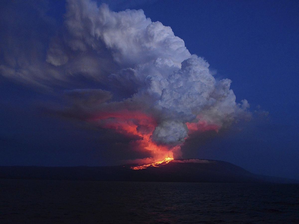 Entra en erupción un volcán en Galápagos donde habitan especies únicas