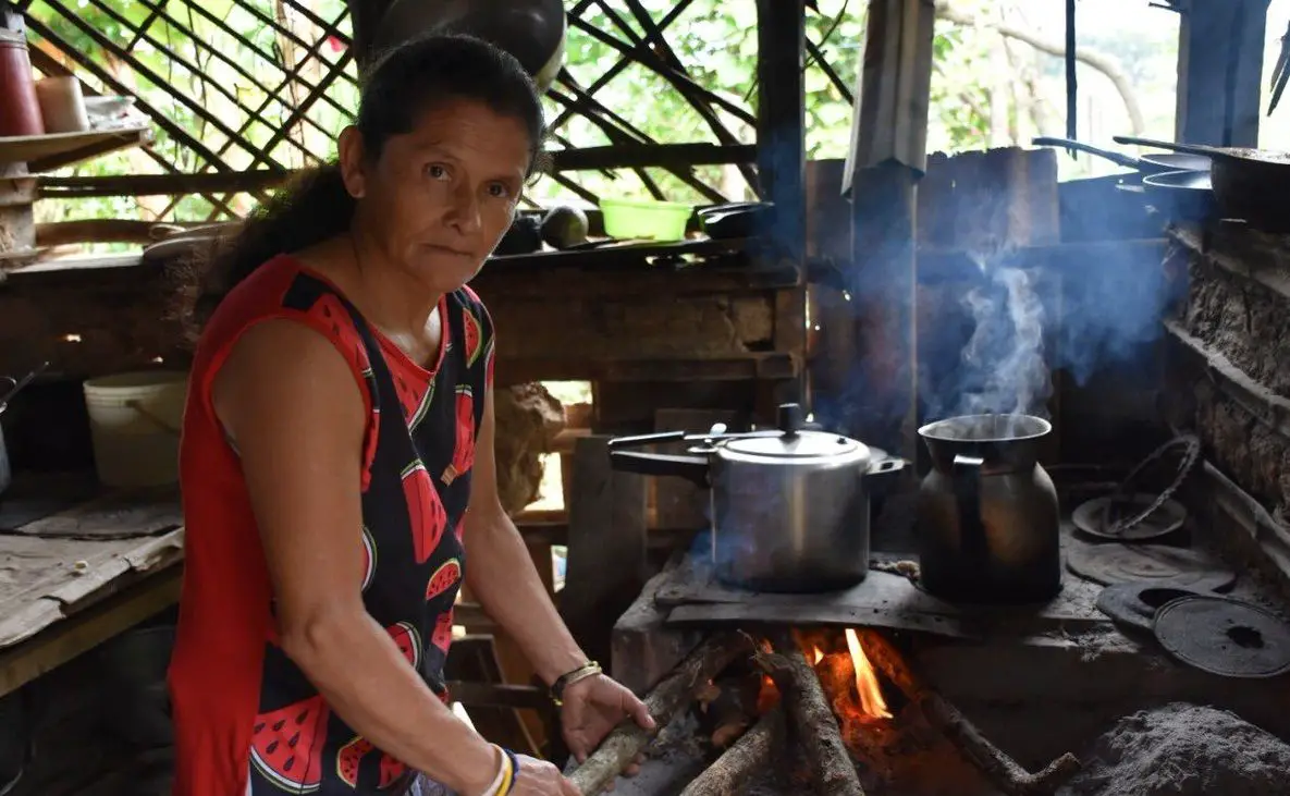 En Colombia, 1,6 millones de familias aún cocinan con leña
