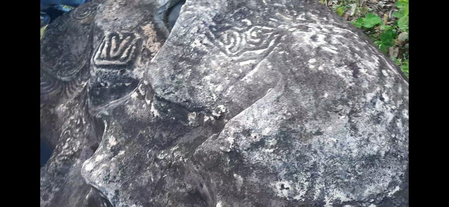 Continúan hallando petroglifos en zona rural de Aipe