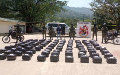 Ejército incautó más de media tonelada de marihuana en Paicol, Huila