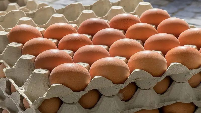 “En Colombia no importamos huevos: ministro de Agricultura