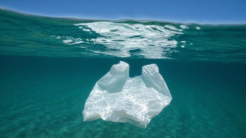 Los plásticos biodegradables no se degradan más fácilmente en el mar