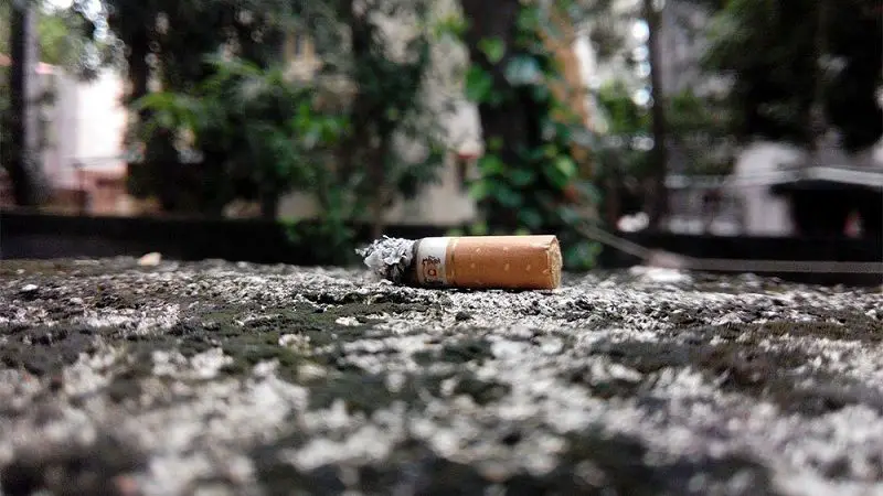 Fumar también el medio ambiente