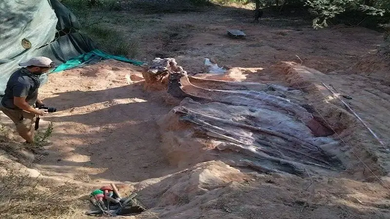 Paleontólogos realizaron un colosal descubrimiento