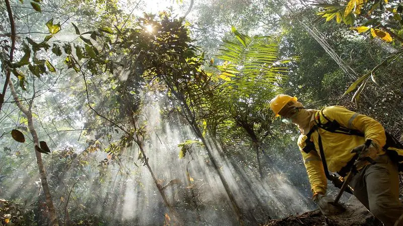 Julio registró la mayor tasa de deforestación de la Amazonía brasileña