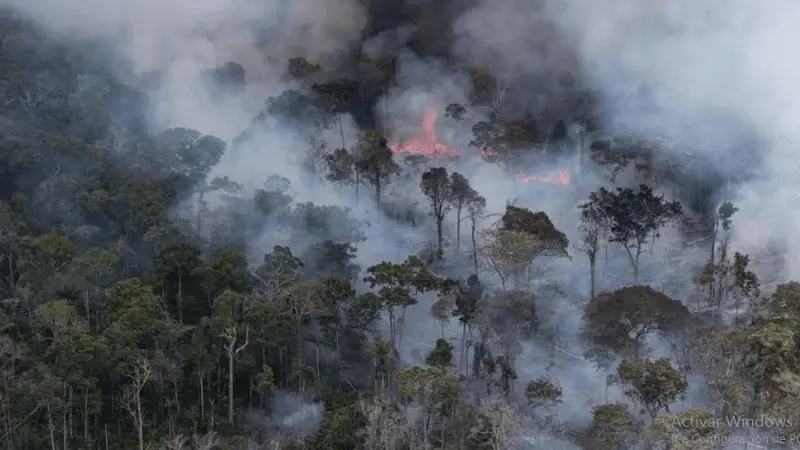Récord trágico de incendios en la Amazonía brasileña