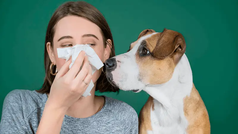 7 síntomas que revelan si eres alérgico a tu mascota