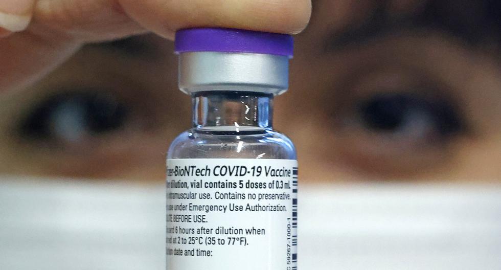 Llegarán 20 millones de dosis de vacunas contra el COVID