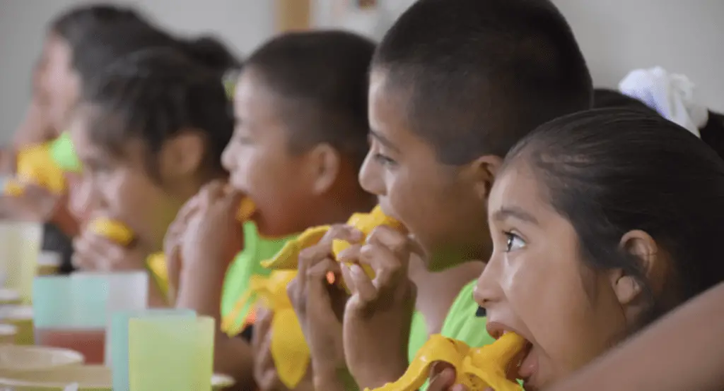 El derecho a la alimentación en Colombia avanza en el Congreso