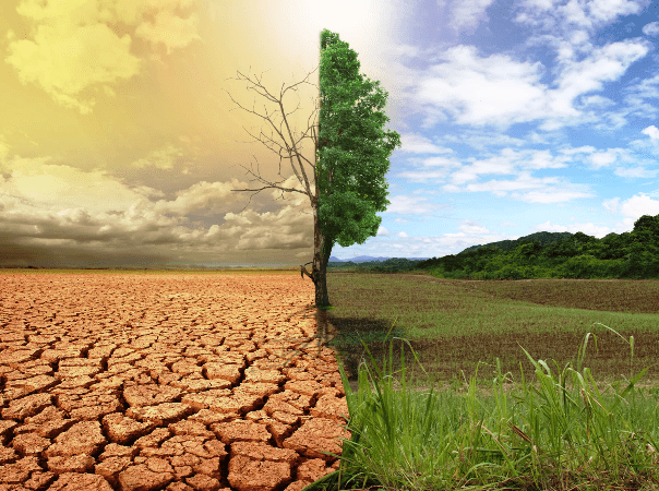 Fenómeno de El Niño y sus consecuencias que deja en Colombia