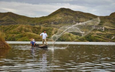 Prohíben la pesca del bagre rayado en el Huila