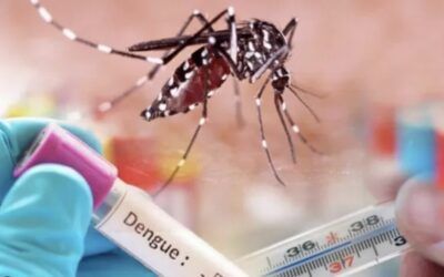 Seis muertes por dengue en el Huila: Persiste la alerta