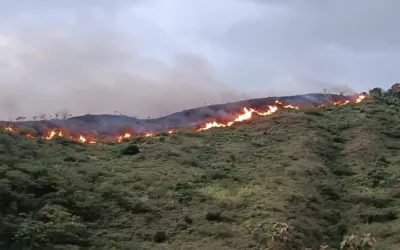 23 municipios del Huila afectados por incendios forestales