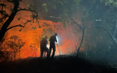 Manos criminales detrás de incendios forestales en Neiva
