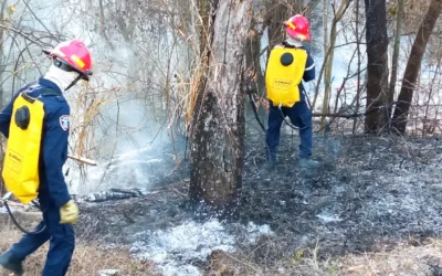 Comunas 6, 7 y 9 las más afectadas por incendios forestales