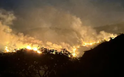 Yaguará bajo fuego