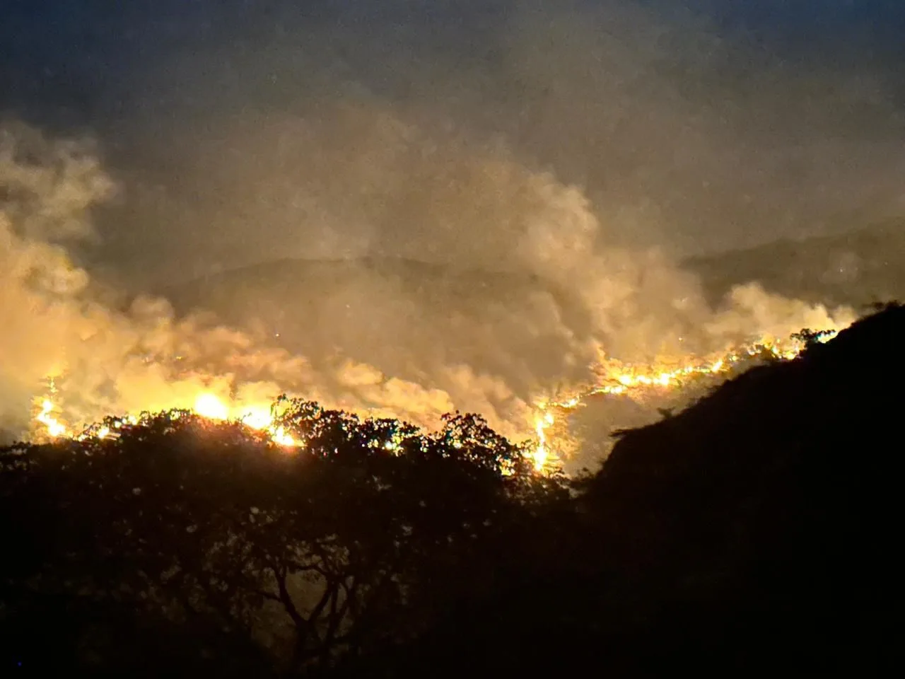 Yaguará bajo fuego