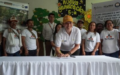 Crean noveno Comité Regional de Abejas y Apicultura en zonas del Magdalena