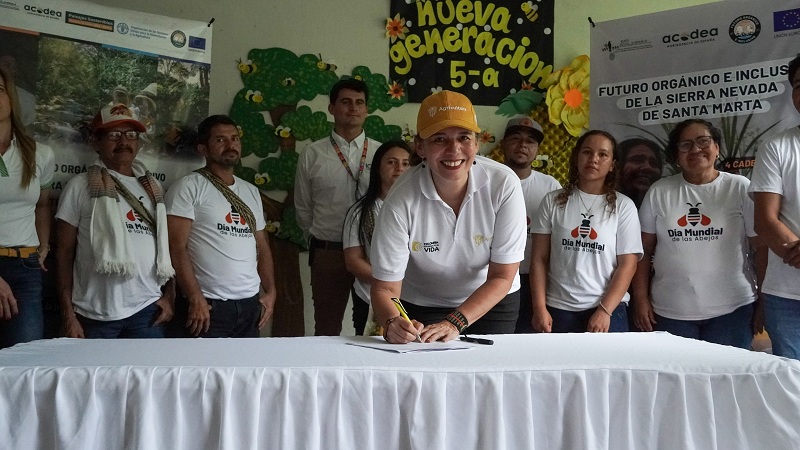 Crean noveno Comité Regional de Abejas y Apicultura en zonas del Magdalena
