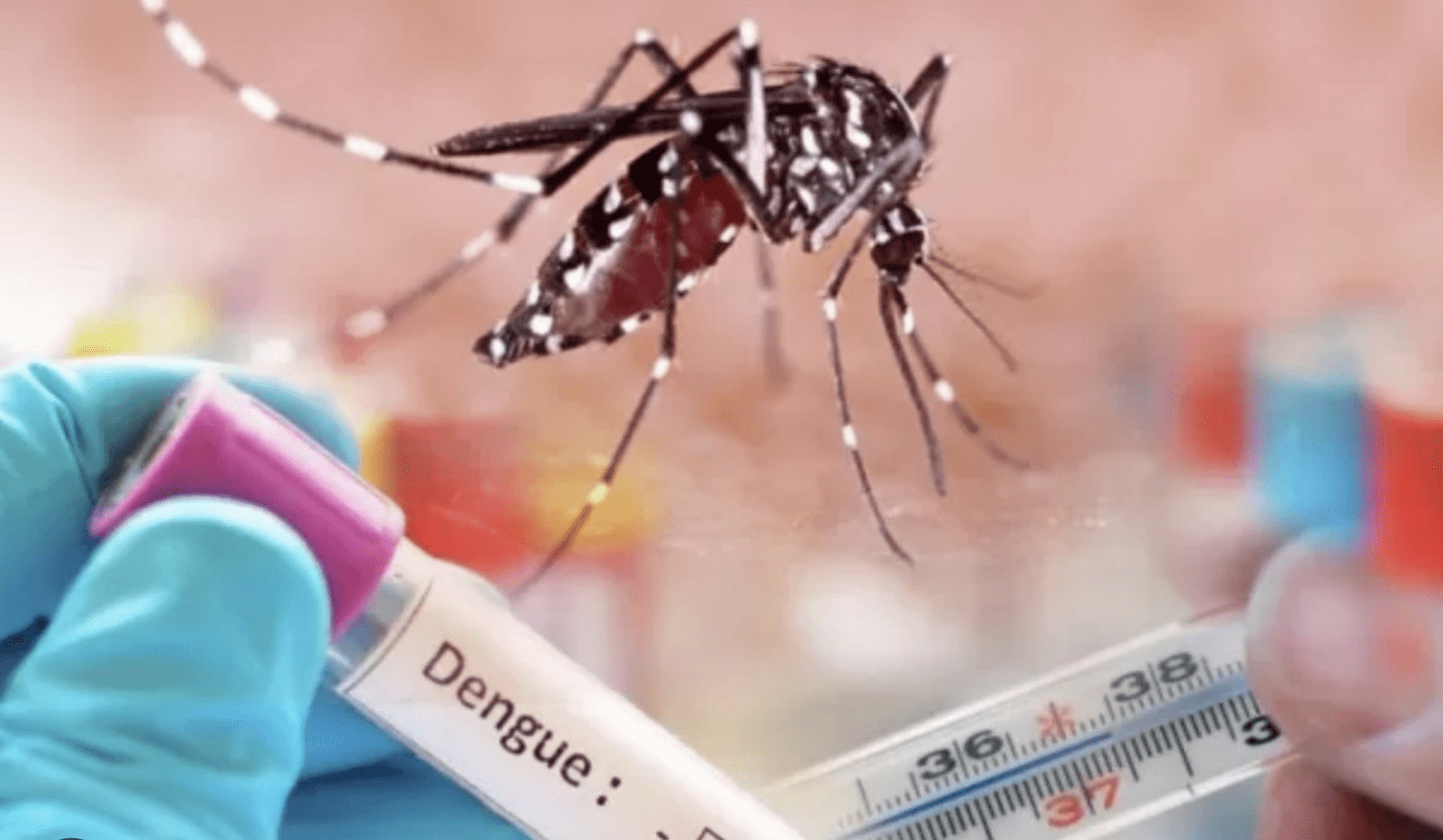 Preocupación en el Huila: Casos de dengue sobrepasan la media nacional
