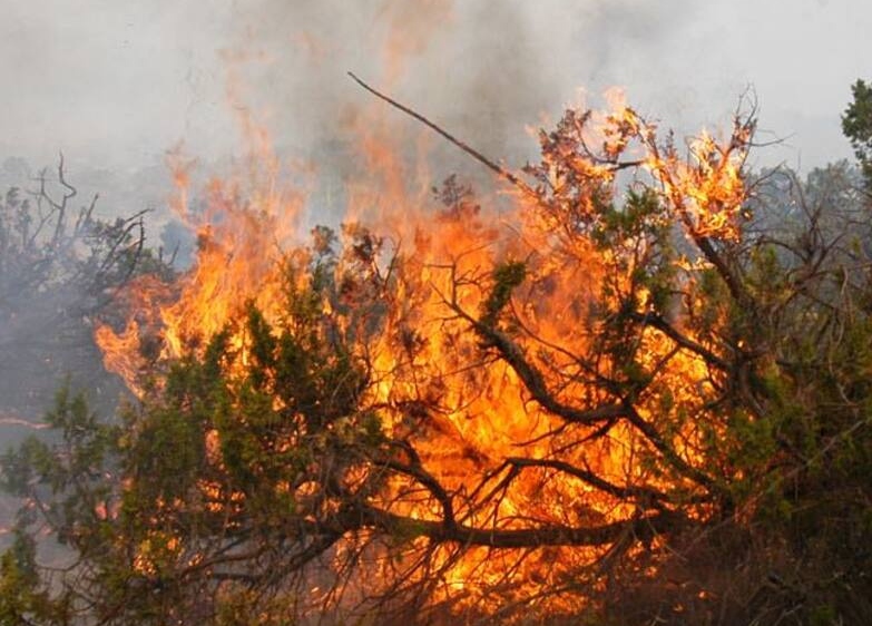 Manos criminales tras incendios en Neiva