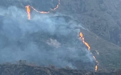 Incendios han arrasado 945 hectáreas en el Huila