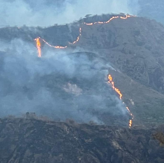 Incendios han arrasado 945 hectáreas en el Huila