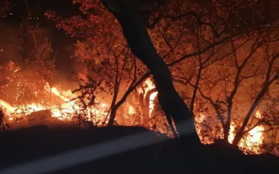 Se han quemado 1.540 hectáreas de bosque y pasto