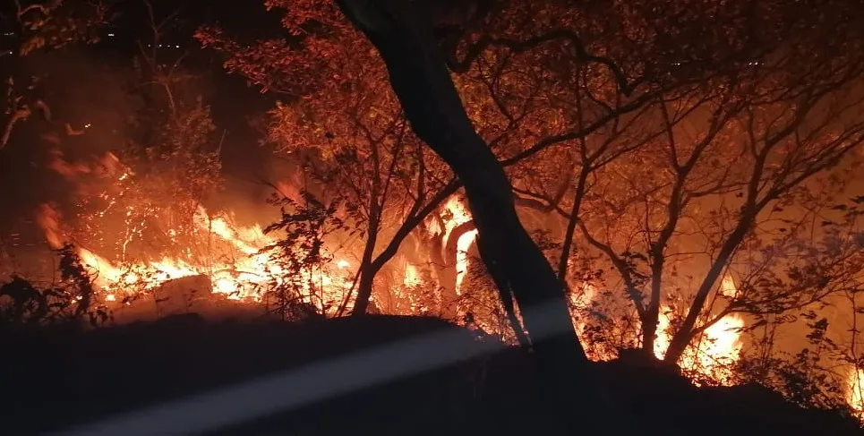 Se han quemado 1.540 hectáreas de bosque y pasto