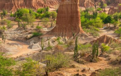 ¡La Tatacoa patrimonio Geológico!