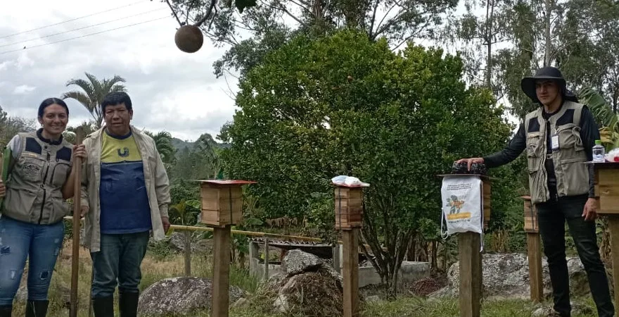 Abejas silvestres, una buena alternativa para los apicultores